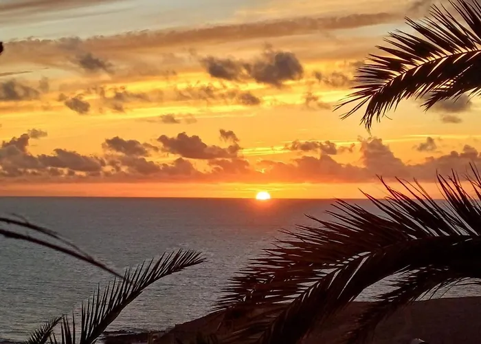 Apartament My Fuerta *